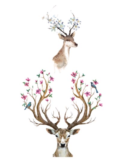 Two Deers