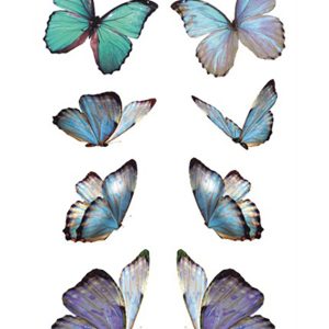 Butterfly Temporary Tattoo Waterproof Sticker