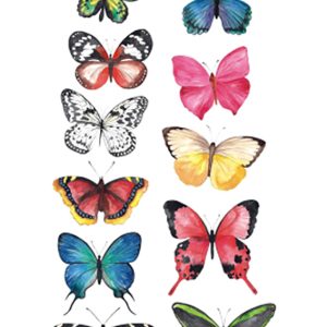 Butterfly Temporary Tattoo