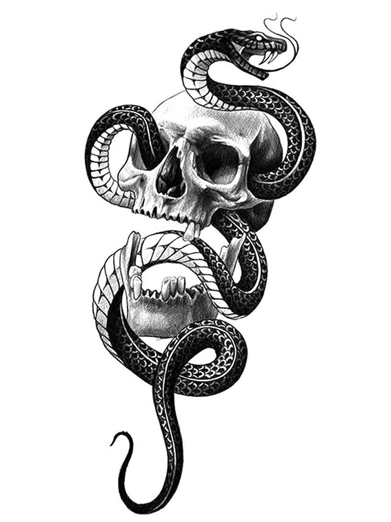 Snake Skull Tattoo