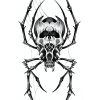 Skeleton Armored Spider Temporary Tattoo