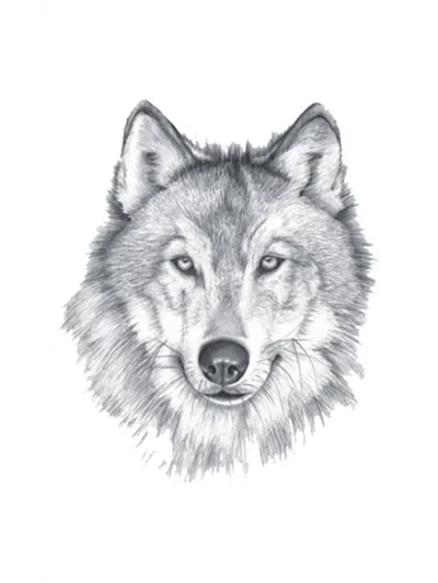 Grey Wolf Tattoo