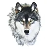 White Hair Wolf Tattoo