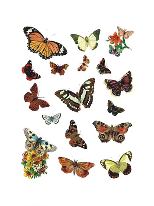 Cute Butterfly Temporary Tattoos