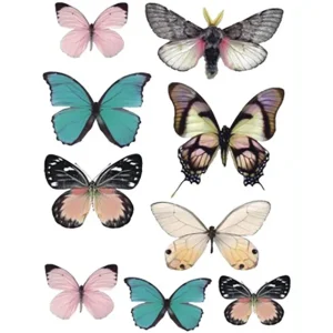 Pink Butterfly Temporary Tattoo