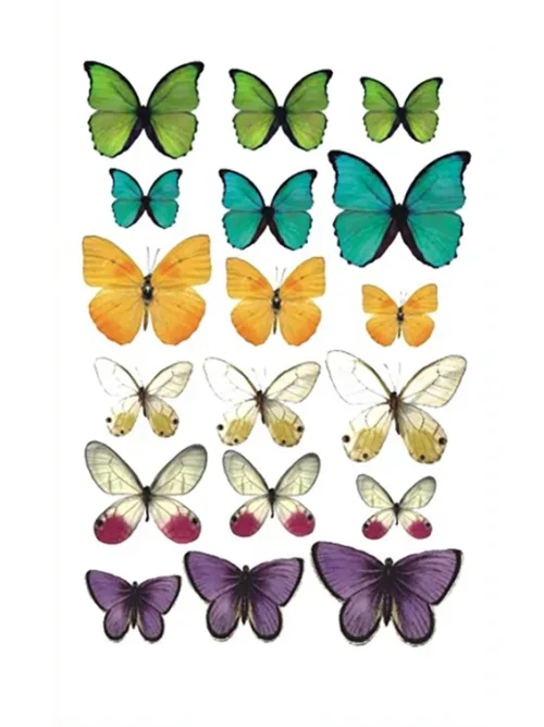 Many Butterflies Temporary Tattoo