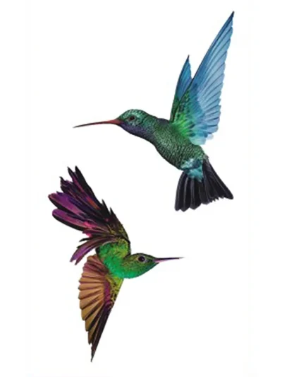 Horseplay Hummingbird Tattoo