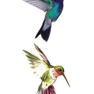 Hummingbirds Temporary Tattoo