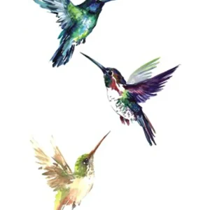 Three Hummingbirds Fake Tattoo