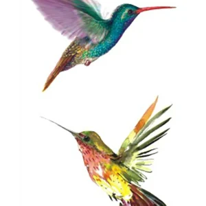 Beautiful Hummingbirds Temporary Tattoo