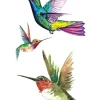 A Hummingbird Family Tattoo