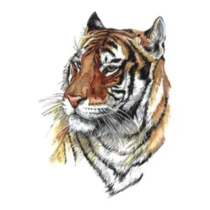 Tan Tiger Temporary Tattoo