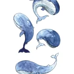 Cute Whale Tattoo