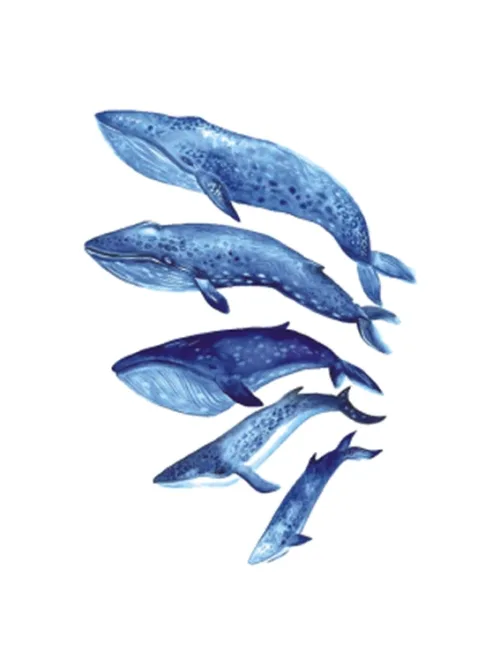 Whale Family Tattoo