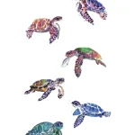 Turtles Temporary Tattoo