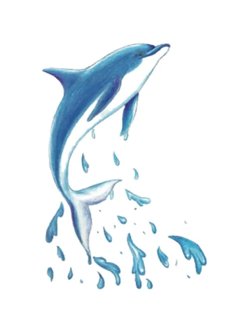 Dolphin Tattoo