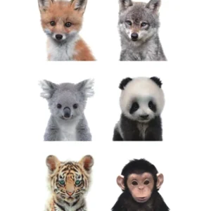 Cute Animals Avatar Tattoo